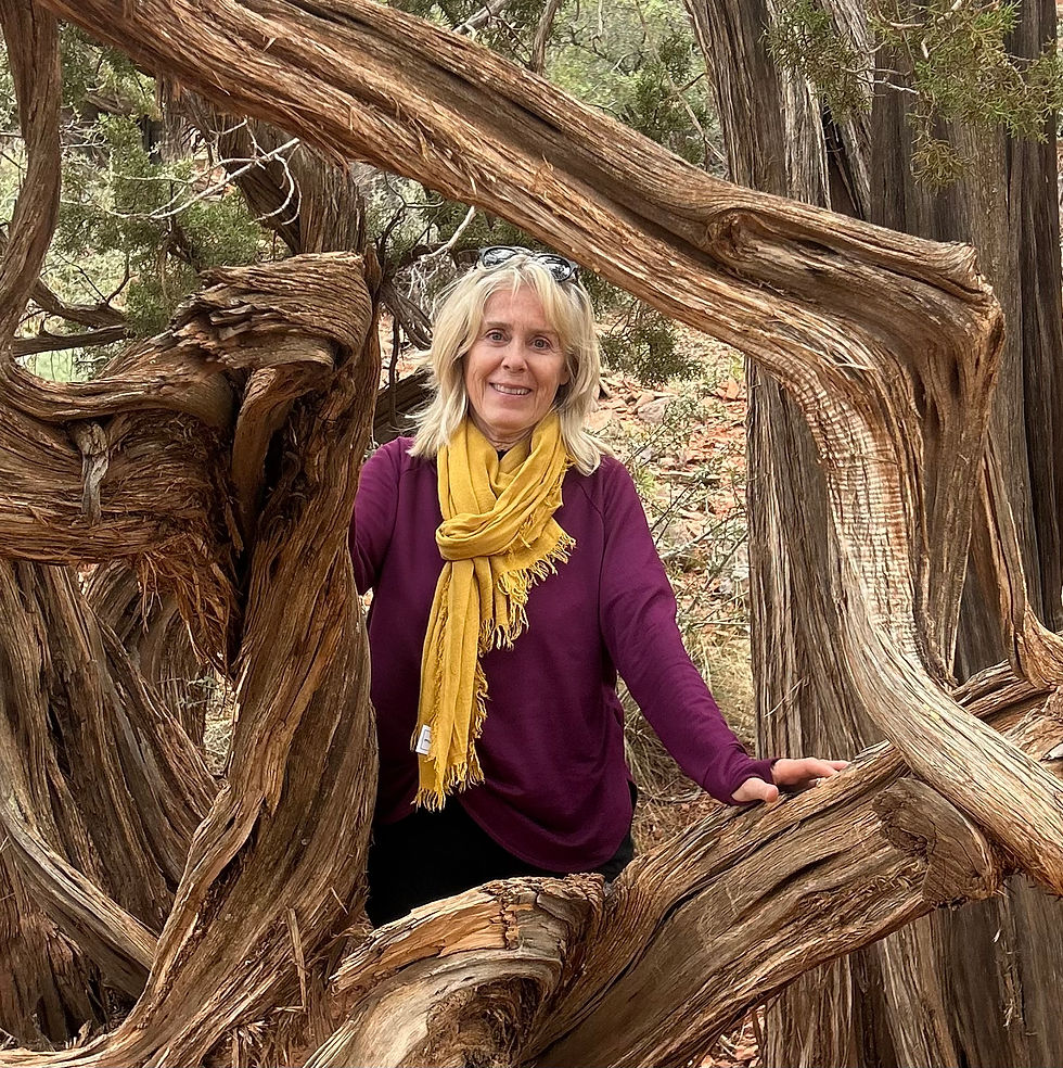Woman wearing purple sweater and yellow scarf standing amid tree branches