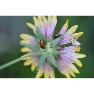 What Lies Beneath
Kimberly Yates
11" x 14"
