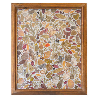 Kate Skeckarski
January
Pressed Plants