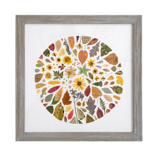 Kate Skeckarski
Fall 2021
Pressed Plants