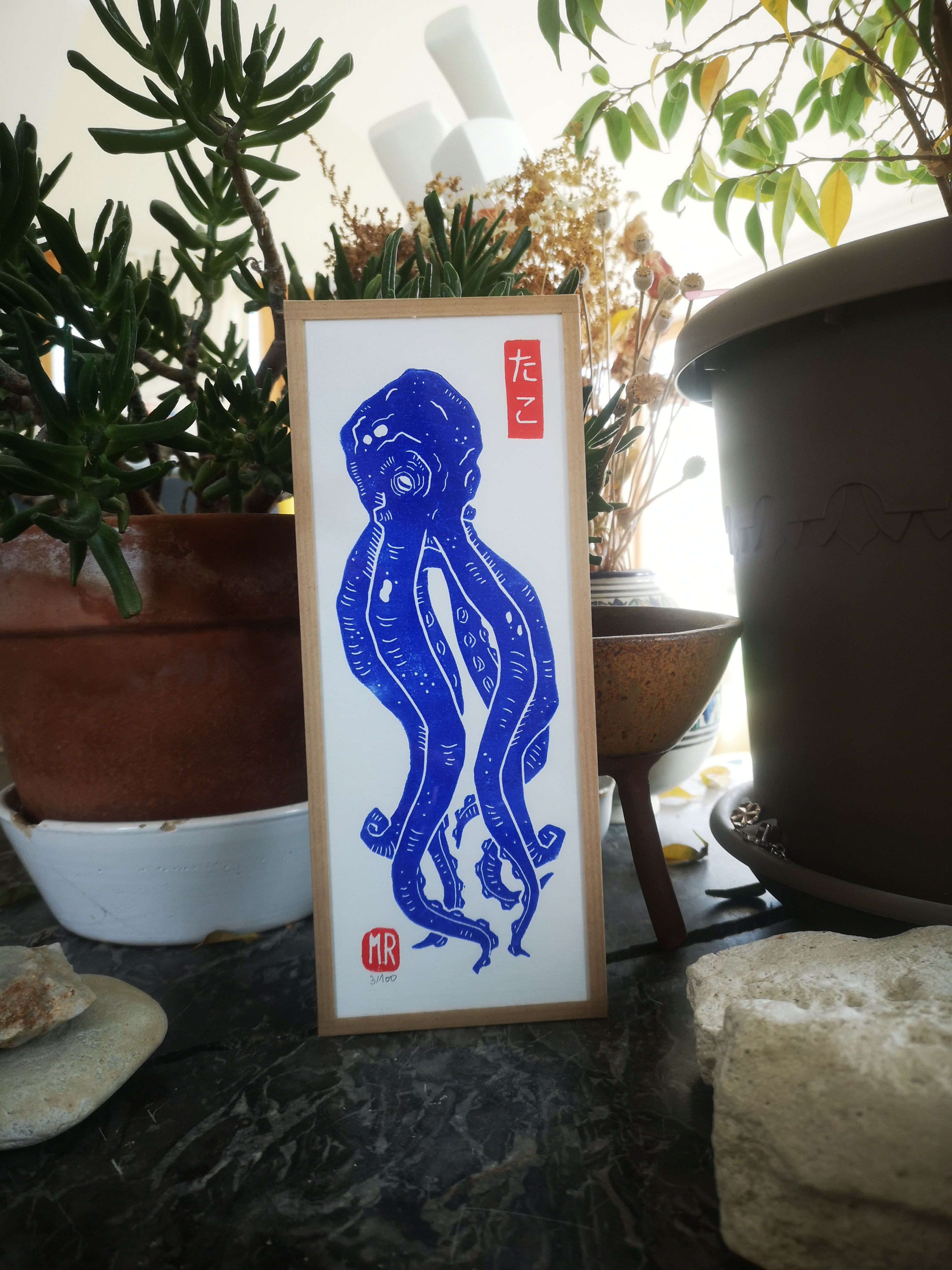 たこ Tako la pieuvre