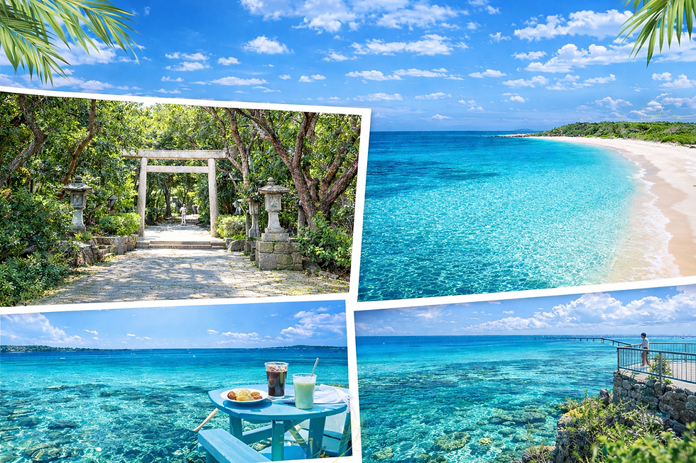 4月：絶景のベストシーズン突入