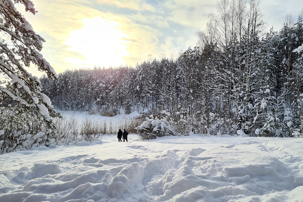 Cocoon CEO Ansis and COO Hristo hiking in the nature