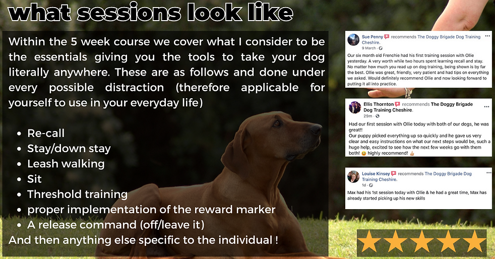 FB12A69F-AEAD-4D56-8D74-51F4930EF72C.png