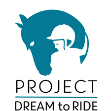 transparent logo.png