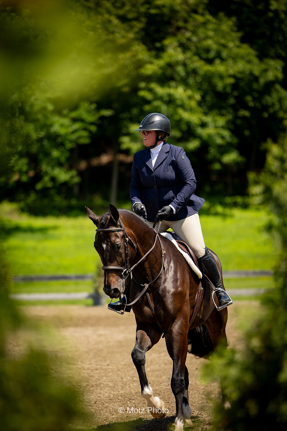 Equestrian rider in show attire on a bay horse outdoors
