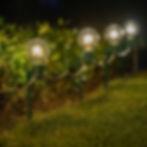 Lawn Stake Lights