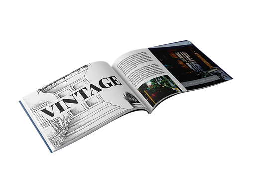 MOCKUP REVISTA HORIZONTAL (paginas enfrentadas 8-9).png