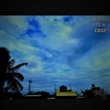 Nature Photo - Manasa.jpeg