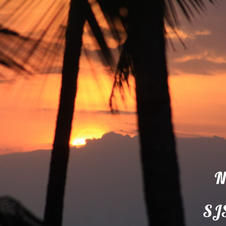 Niyathi - image2.jpeg