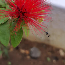 Gokul-M-11A (3).jpeg