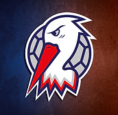 Stadeln_Storks_Handball_LOGO_Stork_Stork_Social.jpg