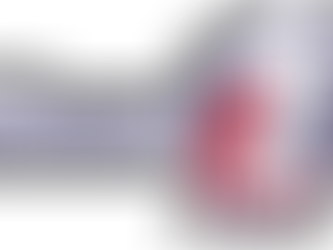 Spiel der Damen 1 gegen Fichtelgebirge verschoben