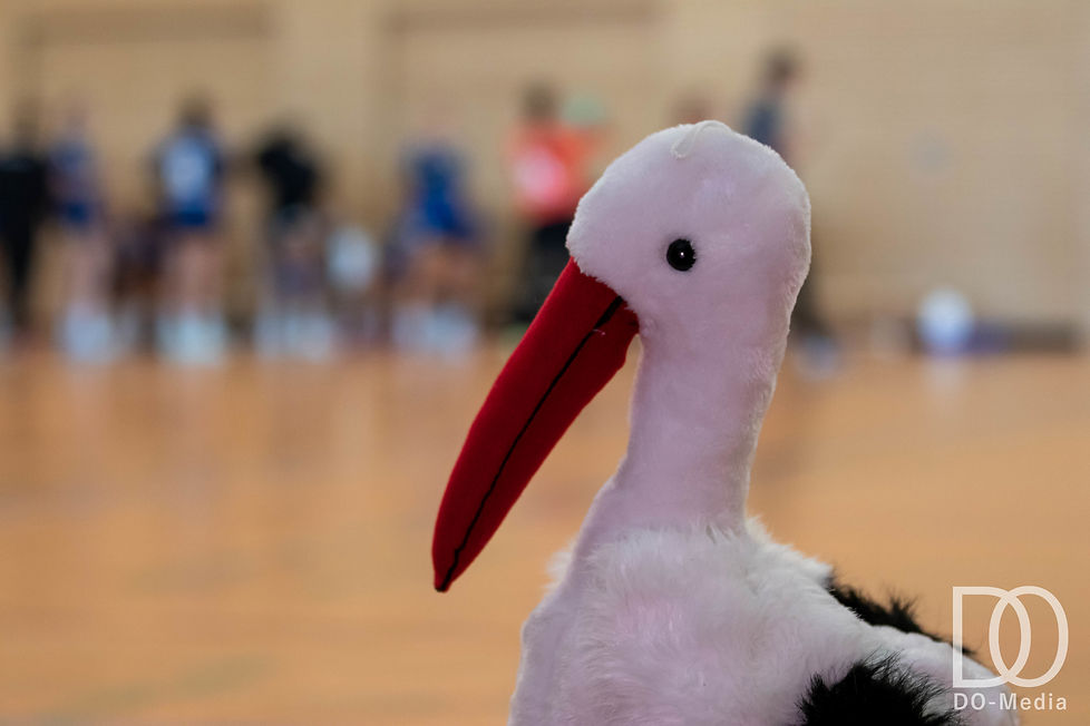 Kopie von IMG_7703_K.jpg