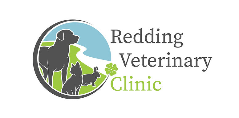 RVC logo 3.jpg