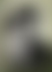 Frédéric Joseph Etienne Mistral,
José Echegaray y Eizaguirre