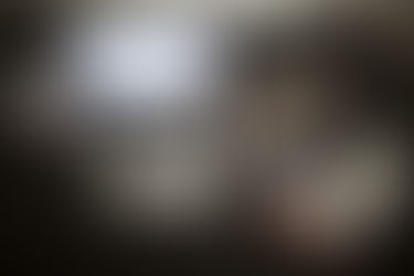 永續發展視角下的記帳士專業與企業治理策略