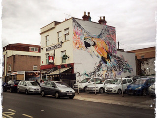 Spreading my wings in Bristol