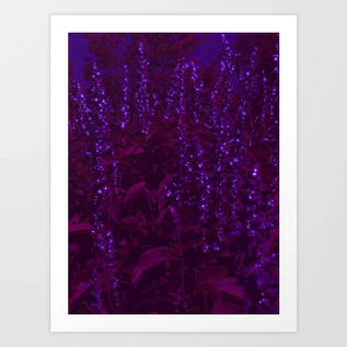 glowing-purple-moon-flowers-prints.webp