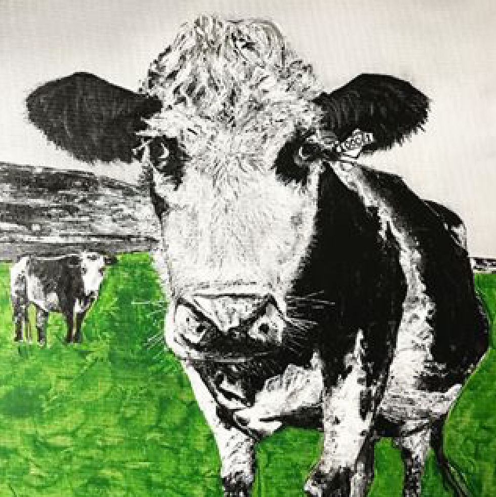 'What you looking at' Limited Edition A3 Print