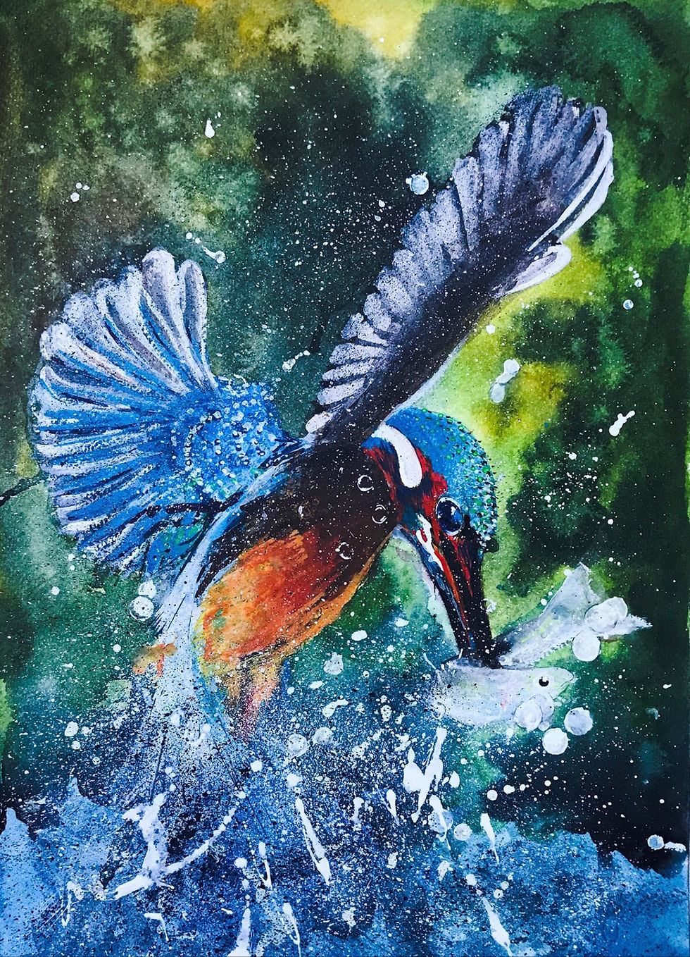 'Kingfisher' Limited Edition A3 Print