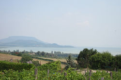 Uitzicht vanop het terras