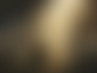 Person kneeling in nature with soft, golden light streaming in.