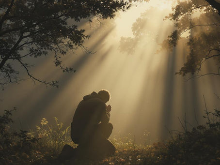 Person kneeling in nature with soft, golden light streaming in.