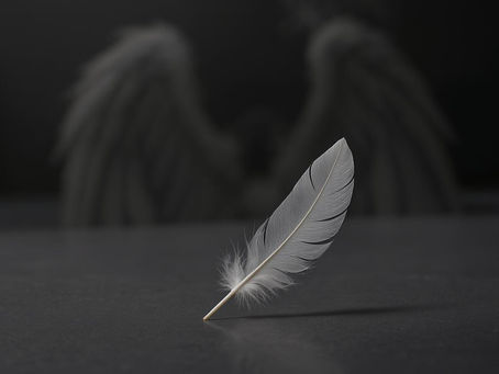 White feather with angel wings in the distance
