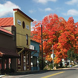 Village Maple PICT5555 2004.jpg