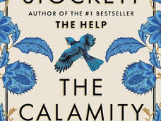 The Calamity Club 