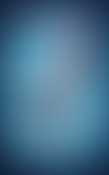 Don't Answer The Phone