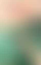 Summer State Of Mind