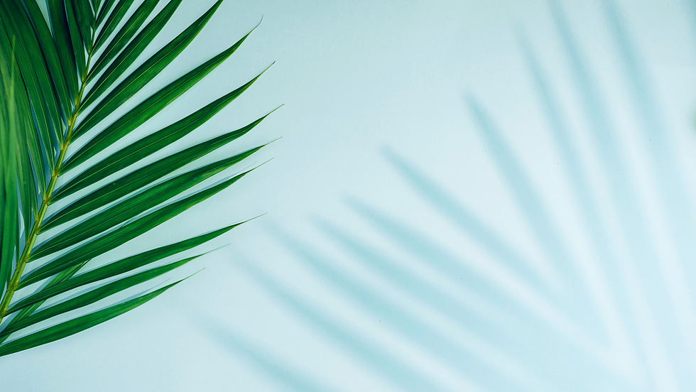 teal and green.png