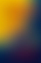 Strangers In The Car