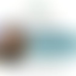 Celebrating 3 years of F&F!