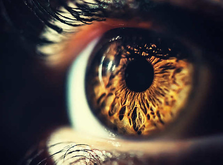 medical-marvel-new-ai-system-can-accurat