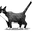 執筆者の写真: otom