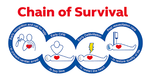 Basic life support online course