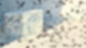 Terrazzo11.jpeg