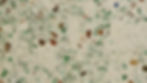 T-W20-GGR