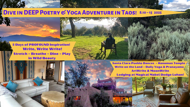 Website 2025 Divine Taos .png