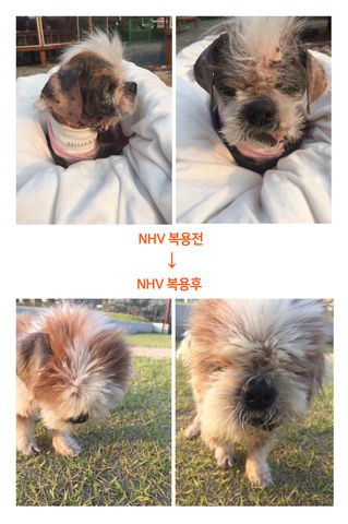 평생을 가려움증에 고통받던 아이였습니다.