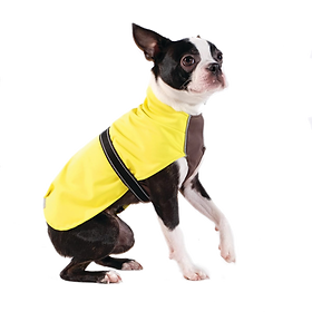 RainPaw-Yellow-GeneralCMYK_preview copy.