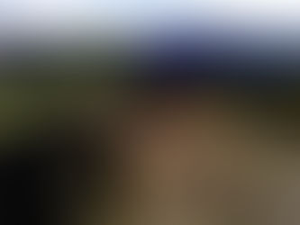 稲刈りに行ってきました。