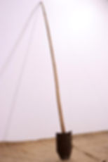 SARCHIATORE