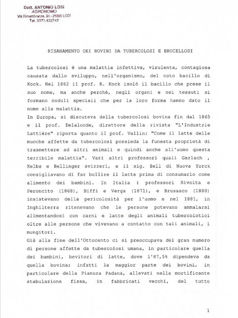 Il Risanamento di Bovini.jpg