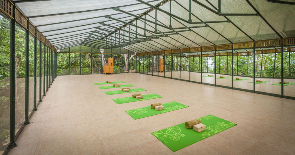 yoga-studio-green-house-02-1024x539.jpg