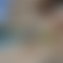 Infobesity - National Forum on Internet Governance in Cameroon (Day 2)