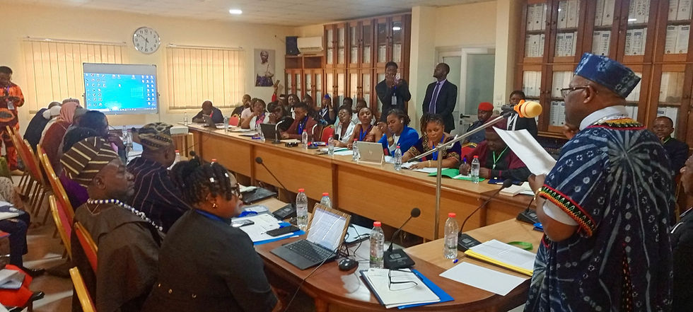 Justice, Peacebuilding and Reconciliation in Cameroon | The Heritage University Institute of Peace and Development Studies, Nico Halle Law firm Partnership